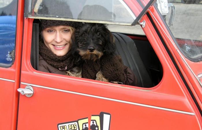 Maureen Louys quitte la RTBF pour se consacrer à sa passion des animaux