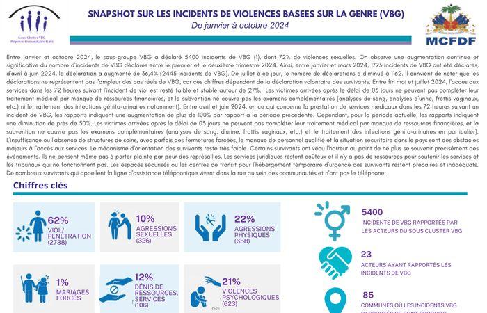 Aperçu des incidents de violence basée sur le genre (VBG) de janvier à octobre 2024 – Haïti