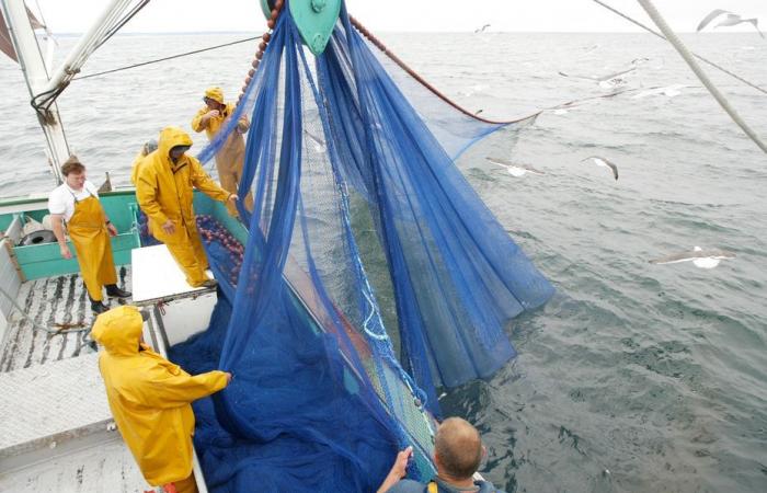 Pêche dans la Manche. Un accord sur une technique de pêche a été trouvé entre Français, Belges et Néerlandais