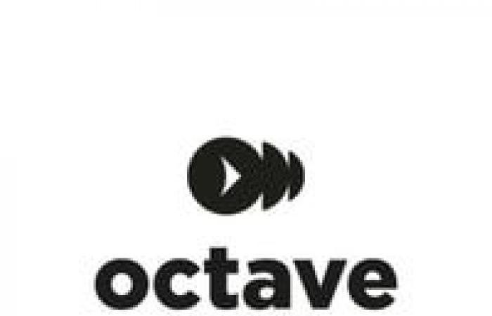 Coordonnateur d’atelier | Studios Octave