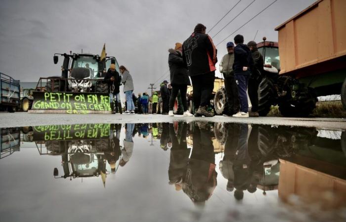 Colère des agriculteurs. En Gironde, les « bonnets jaunes » assiègent le port de Bordeaux et une centrale d’achat