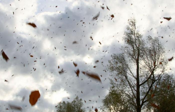 RAPPORT MÉTÉO. Alerte vents violents, rafales à 120 km/h, trafic SNCF interrompu jeudi en Nouvelle-Aquitaine