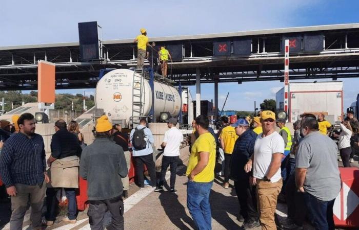 L’autoroute A9 rouvre à la frontière espagnole, la coordination rurale lève le blocage au Boulou