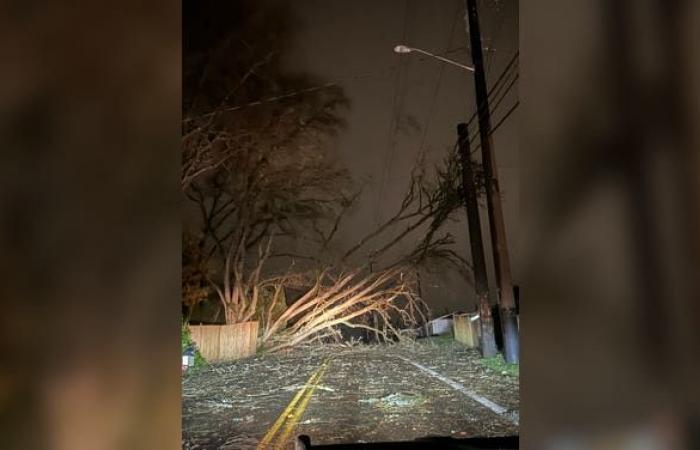 Un cyclone meurtrier frappe la région de Seattle avec des vents violents laissant plus de 600 000 personnes sans électricité