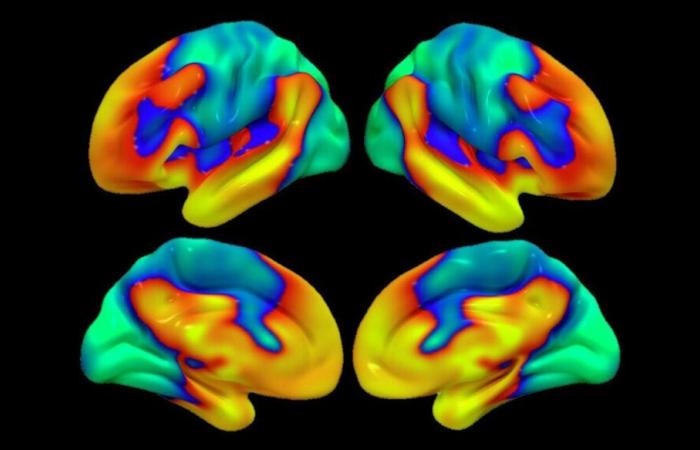 Stress post-traumatique : des blessures qui guérissent