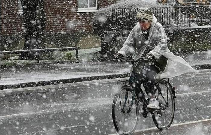 Conditions météorologiques « froides et dangereuses » avec d’autres épidémies hivernales à suivre – Page d’accueil