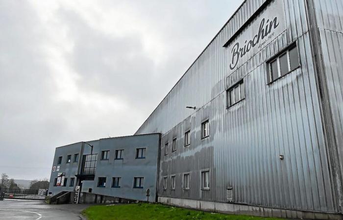 l’usine Briochin, qui compte 49 salariés, fermera ses portes à Saint-Brandan