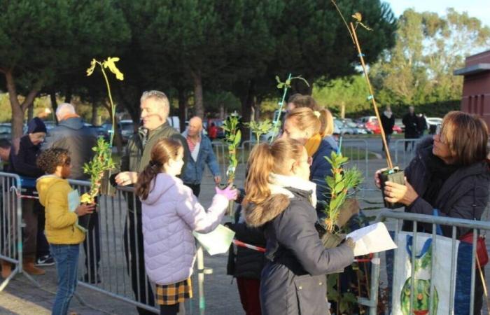 Nous distribuons des plants d’arbres et du compost dans cette commune de Loire-Atlantique