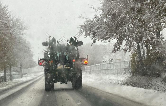 EN IMAGES. Le pays de Flers se réveille sous la neige : un décor de Noël