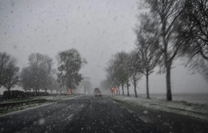 images des premiers flocons de neige en France