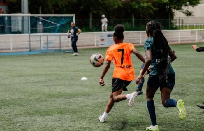 Une équipe féminine de la région toulousaine victime d’insultes racistes et sexistes