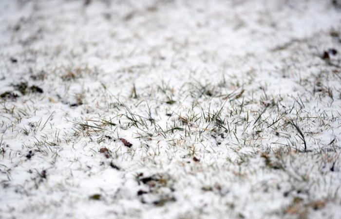 Les dernières prévisions de tempête montrent que Syracuse pourrait recevoir sa première neige de la saison