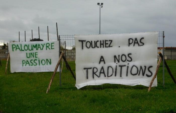 pourquoi ces panneaux fleurissent-ils en Gironde ?