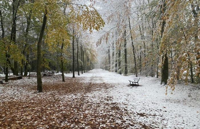 EN IMAGES. Le pays de Flers se réveille sous la neige : un décor de Noël