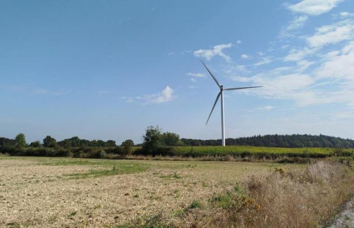 pour accroître l’acceptation des éoliennes, un fournisseur d’énergie propose une réduction aux voisins