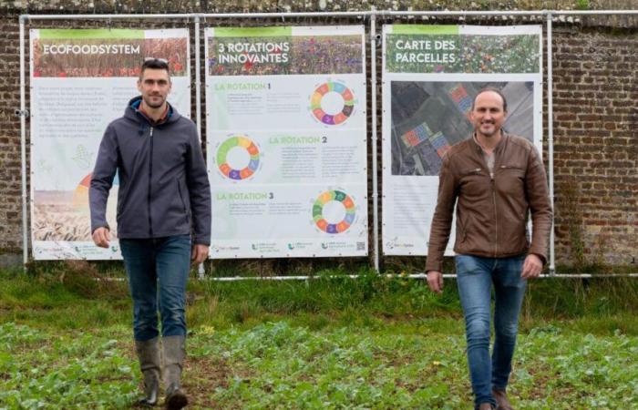 Sur les rails et dans les champs, comment la Belgique s’adapte au réchauffement climatique