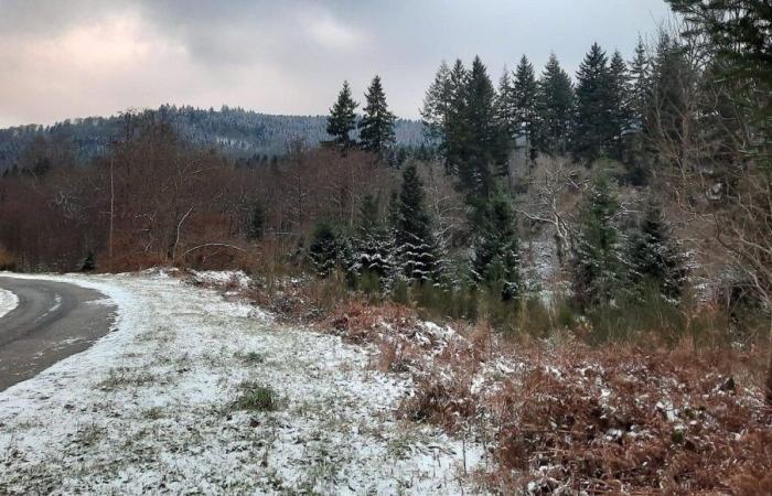 la Creuse se réveille sous une fine pellicule de neige ce vendredi matin