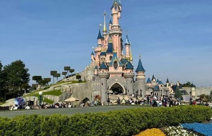 quel impact pour la tarification dynamique mise en place par le parc d’attractions ?