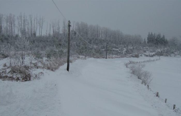 des haies pour lutter contre les effets de la neige