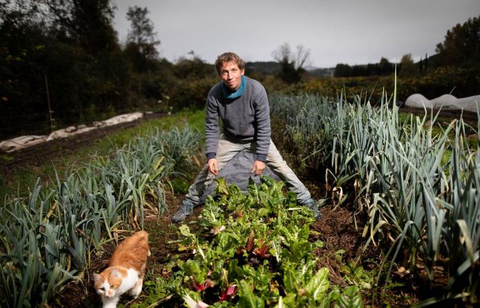 la réforme du RSA fragilise les agriculteurs