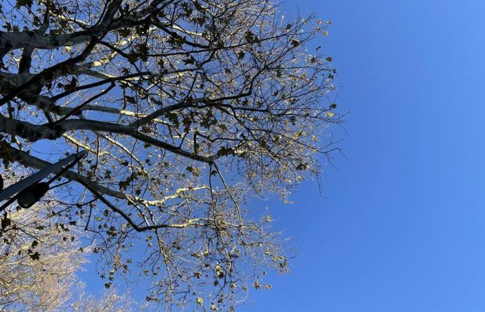 Bulletin météo. Quel temps fait-il dans les Hauts-de-France ce jeudi 21 novembre ?