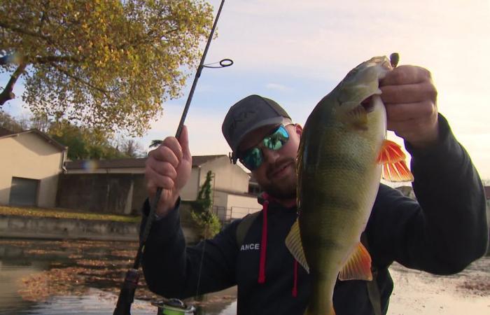 Ils pratiquent le « street fish » ou pêche urbaine et sont devenus champions du monde par équipe.