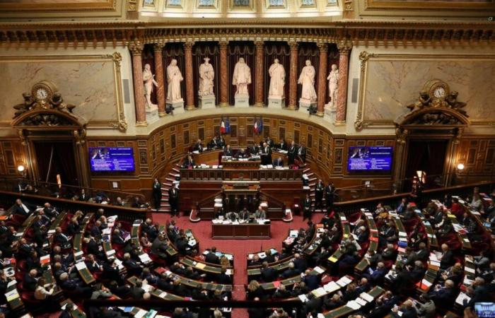 la nouvelle « contribution » à la Sécurité sociale votée au Sénat