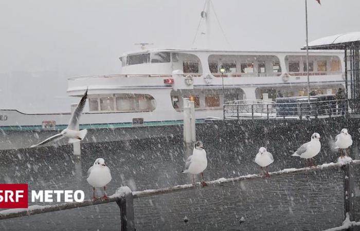 La neige jusqu’en plaine – La Suisse en hiver – Météo