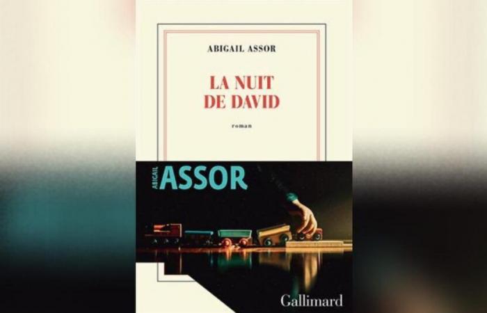 David’s Night, d’Abigail Assor : une jumelle qui déraille