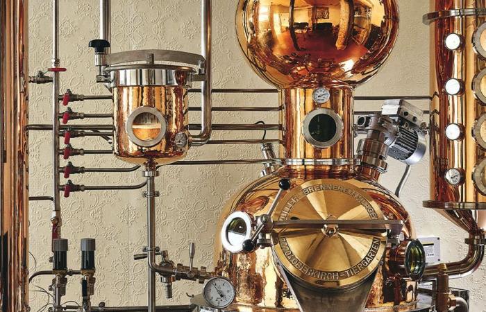 les distilleries font leur grand retour dans la capitale