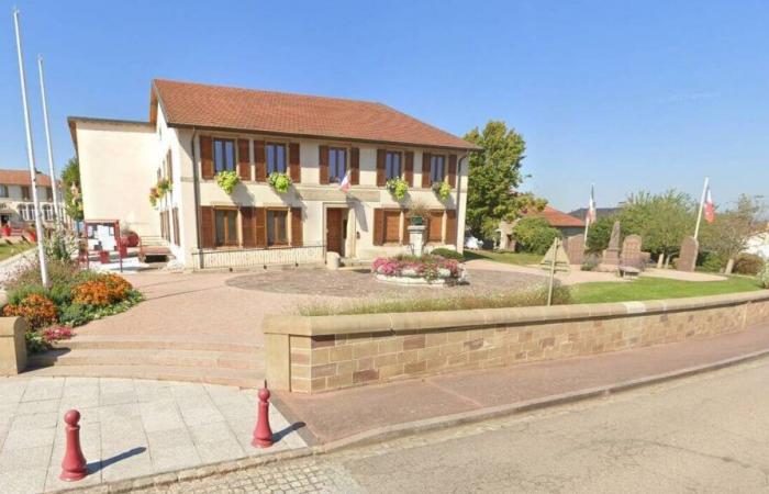 Un vendeur abattu dans les Vosges alors qu’il fouillait une maison particulière