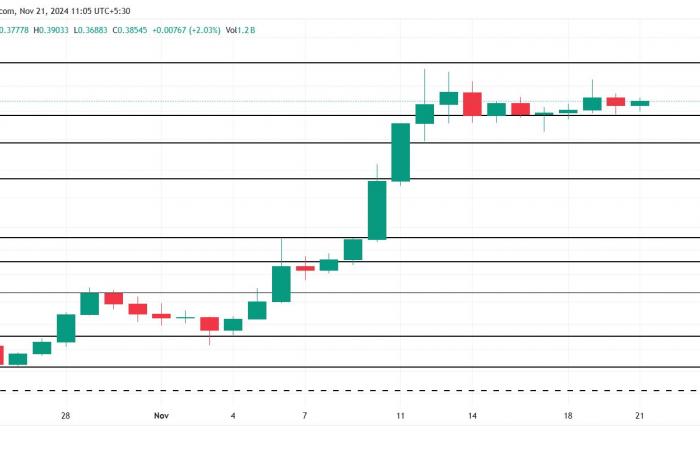 Le prix du Dogecoin n’a pas fini de monter