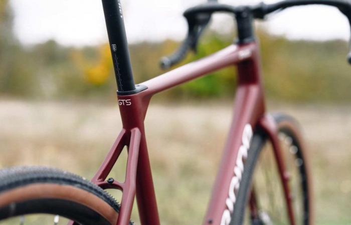 une nouvelle gamme de vélos carbone moins chers, inaugurée par la route Axxome et le gravier Graxx