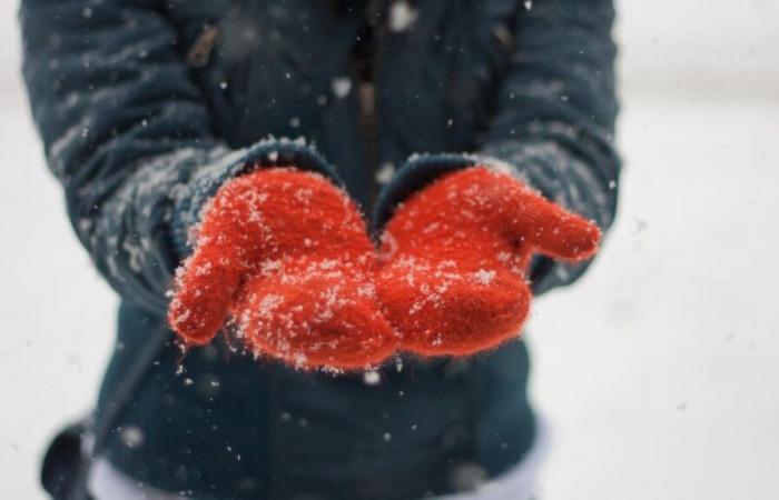 Comment fonctionnent les alertes sanitaires de froid et de chaleur ?