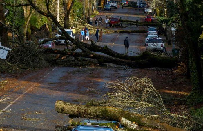 Un cyclone à la bombe fait 2 morts et coupe le courant à Washington et à Seattle alors qu’une nouvelle menace arrive pour la côte ouest