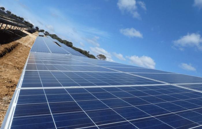 construction d’une méga centrale photovoltaïque sur 48 hectares à Tavel