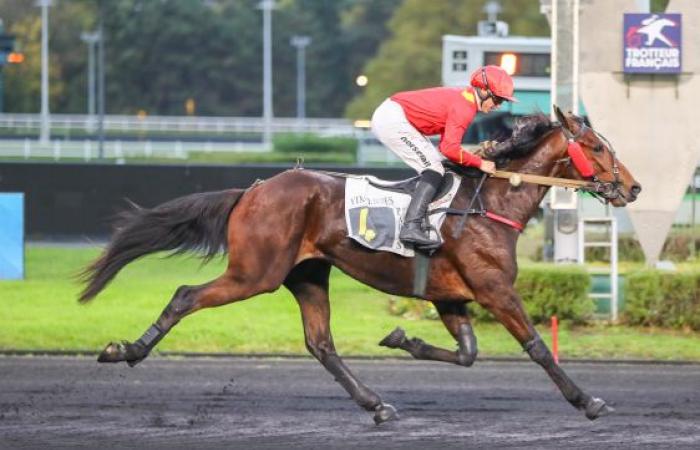 Très bonnes trois années sous la selle dans le Prix Urgent à Vincennes