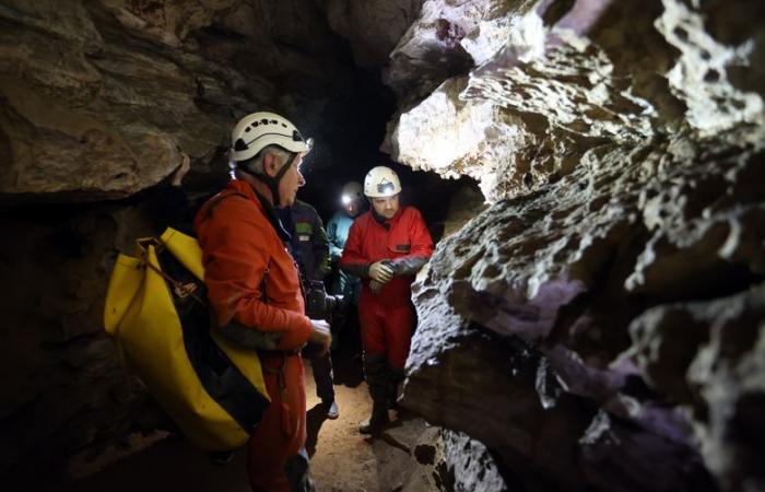 la grotte de Bruniquel est orpheline