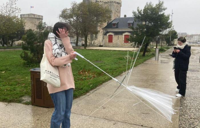 130 km/h en Charente-Maritime, et des milliers de foyers privés d’électricité dans les deux Charentes