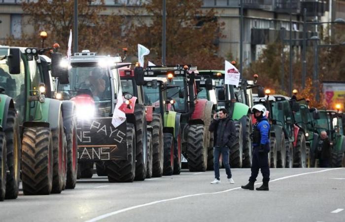 La Ministre Annie Genevard présente sur le terrain, la Coordination rurale toujours mobilisée