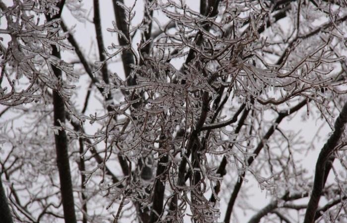 Alerte jaune en Moselle pour le premier épisode neige-verglas de 2024