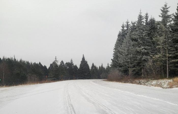 Occitanie. Ici, la neige tombe de 500 mètres… et ça va durer toute la journée