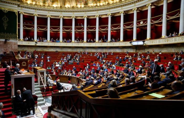 Le bureau de l’Assemblée nationale a acté la création d’un groupe d’amitié France-Palestine