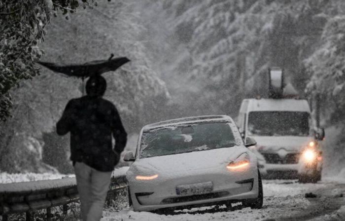 EN IMAGES. Rennes, Paris, Strasbourg… La moitié de la France sous la neige après la tempête Caetano