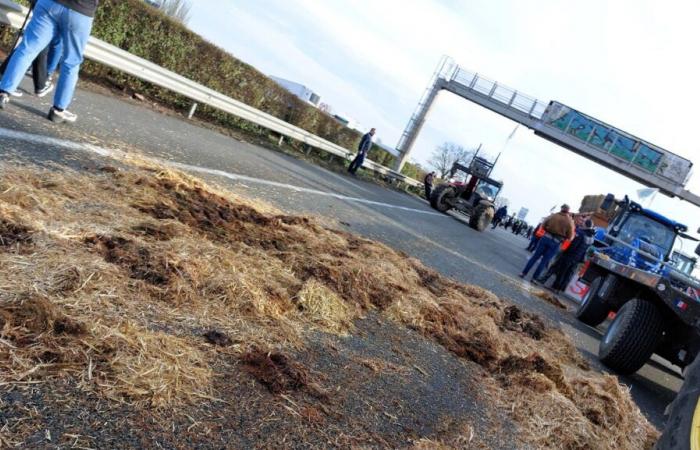 l’autoroute A43 paralysée, les secteurs concernés