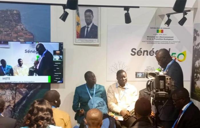 Le Sénégal demande un financement climat de 1 240 milliards de FCFA par an