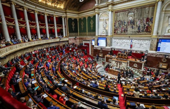 Les députés votent pour étendre leur utilisation à la grande distribution