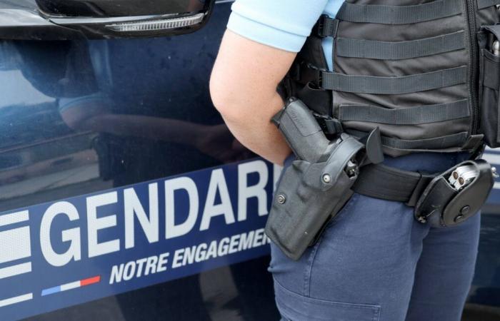 En fuite après avoir tiré sur une caravane, il s’est rendu à la police deux mois plus tard.