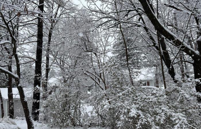 Avertissement de tempête hivernale émis avant une soirée enneigée et boueuse