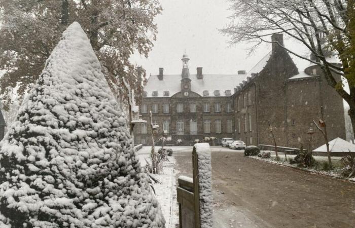 EN IMAGES. Le pays de Flers se réveille sous la neige : un décor de Noël